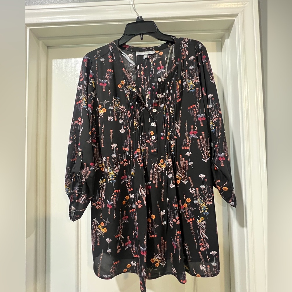 Daniel Rainn 1x blouse